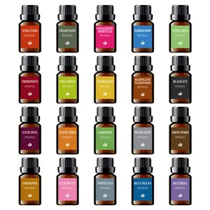 NEW 20PCS Air Freshener Essential Oil Refill - Long Lasting Natural Scented Perfume for Home Fragrance,Humidifier,Car Air freshener Diffuser,Luxury Room Aromatizer Gift Set