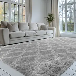 FAMVAL Ultra Soft Plush Area Rug, Fluffy Shag Carpet for Bedroom Living Room Nursery and Modern Home Decor