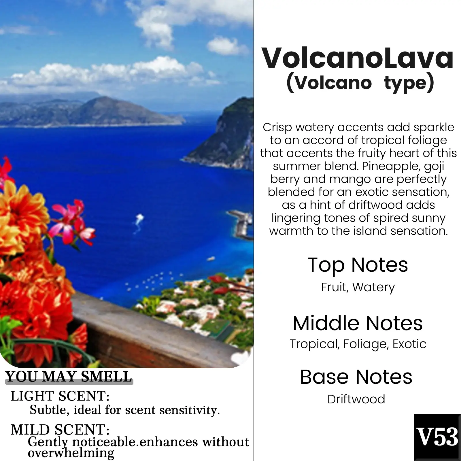 V53-Volcano Lava （Volcano Type）