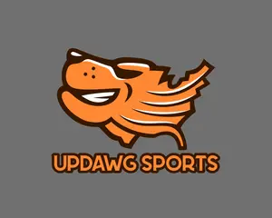 1 Autographed Football Collectible Personal Box