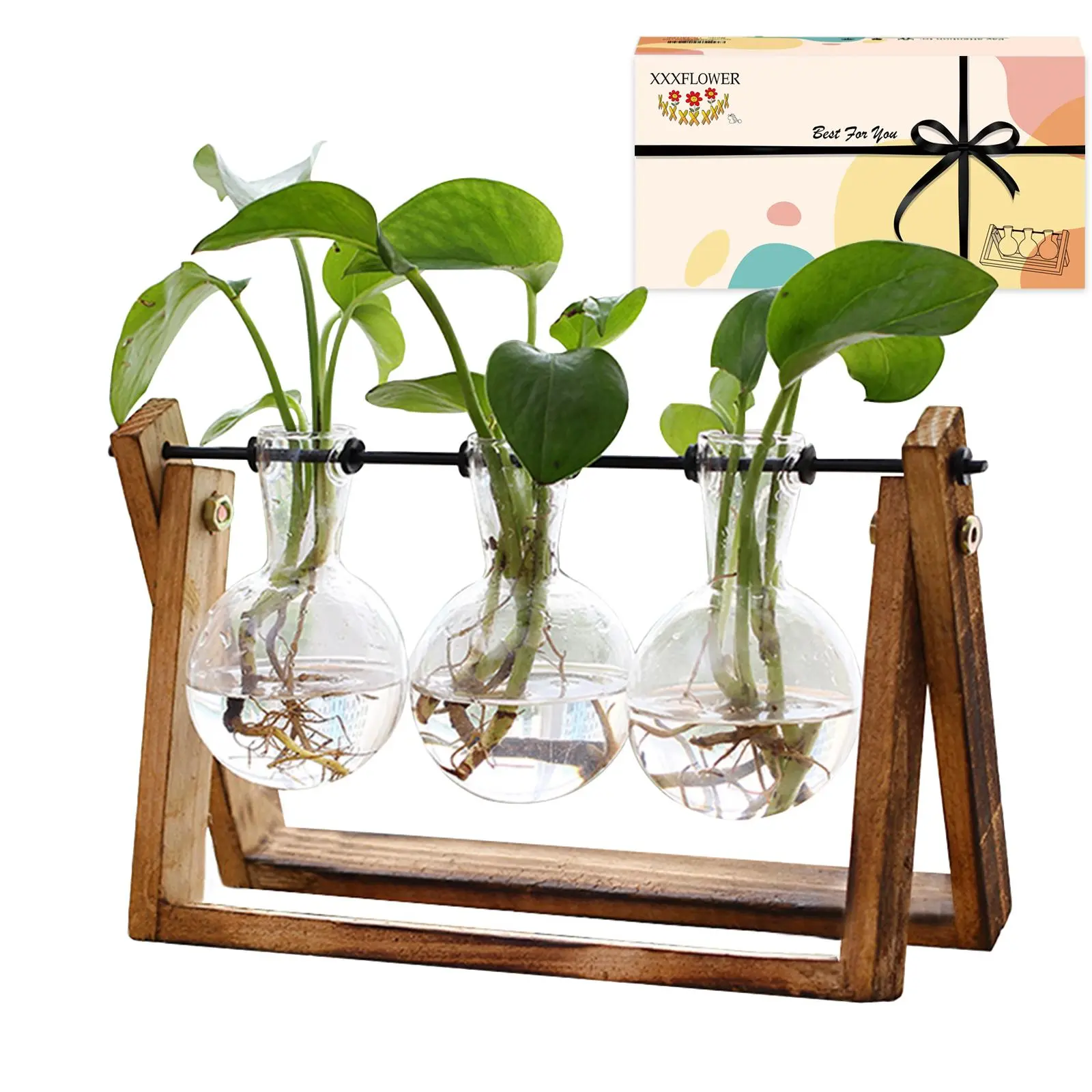 XXXFLOWER 3-Bulb Glass Terrarium Set with Wooden Base (Ensures Terrarium Remains Stable), Indoor Gardening Desktop Display, Living Room Decor, Perfect Gift for Plant Lovers