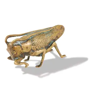 Bronze Cricket