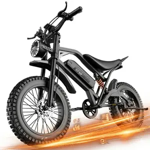 Electric Dirt Bike for Adults Teens，2500W Peak 65Miles Electric Mountain Bike,48V 25AH Off-road E Bike,37MPH Electric Bike,20*4" Fat Tire,LED Headlights & Brake lights,7-speed Off-Road EBike