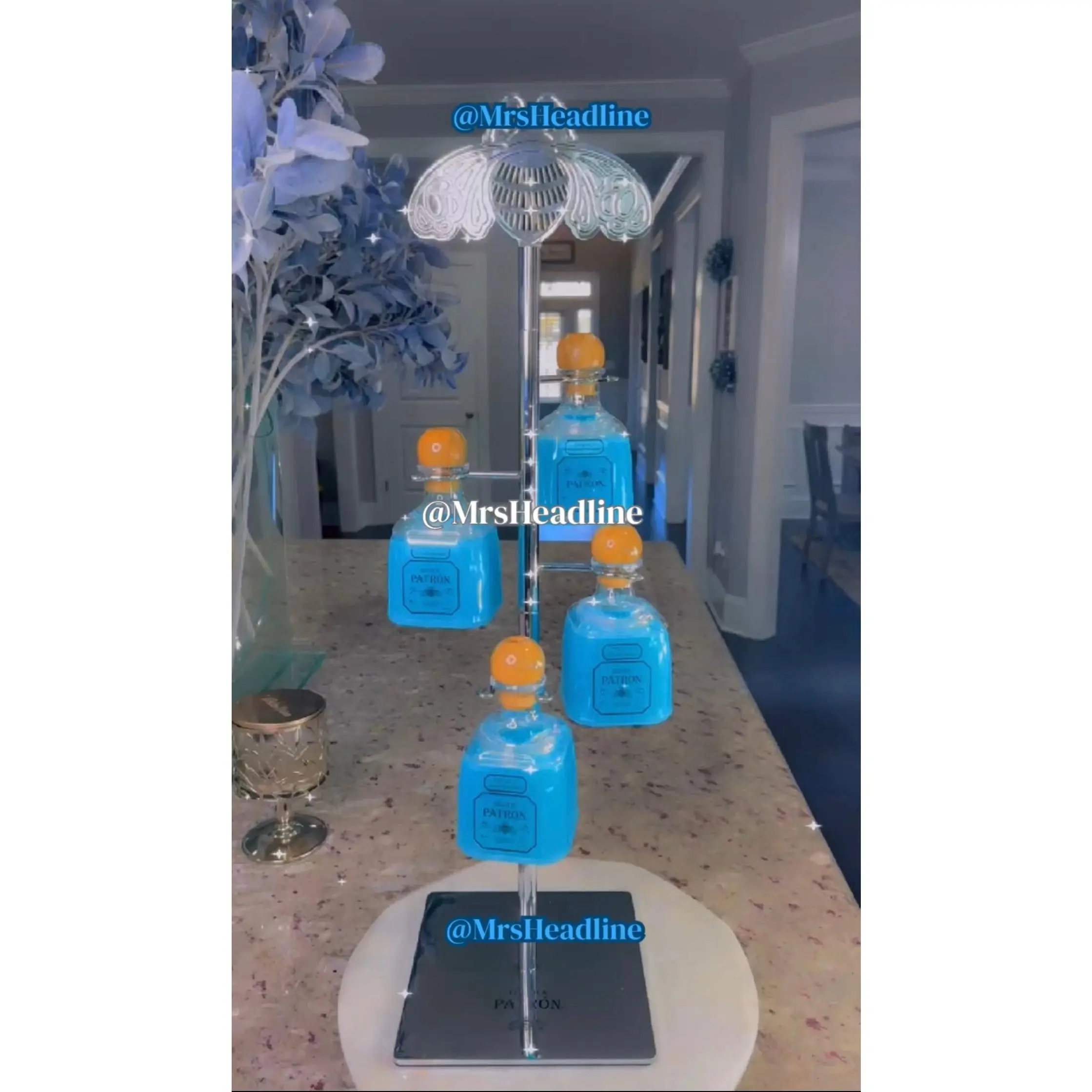 . 4(Bundle) Sale Patron Stand With 4Patron Cups + 2 Free Rainbow Patron cups