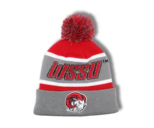 Winston-Salem State Pop ‘n’ Swap Satin Beanie