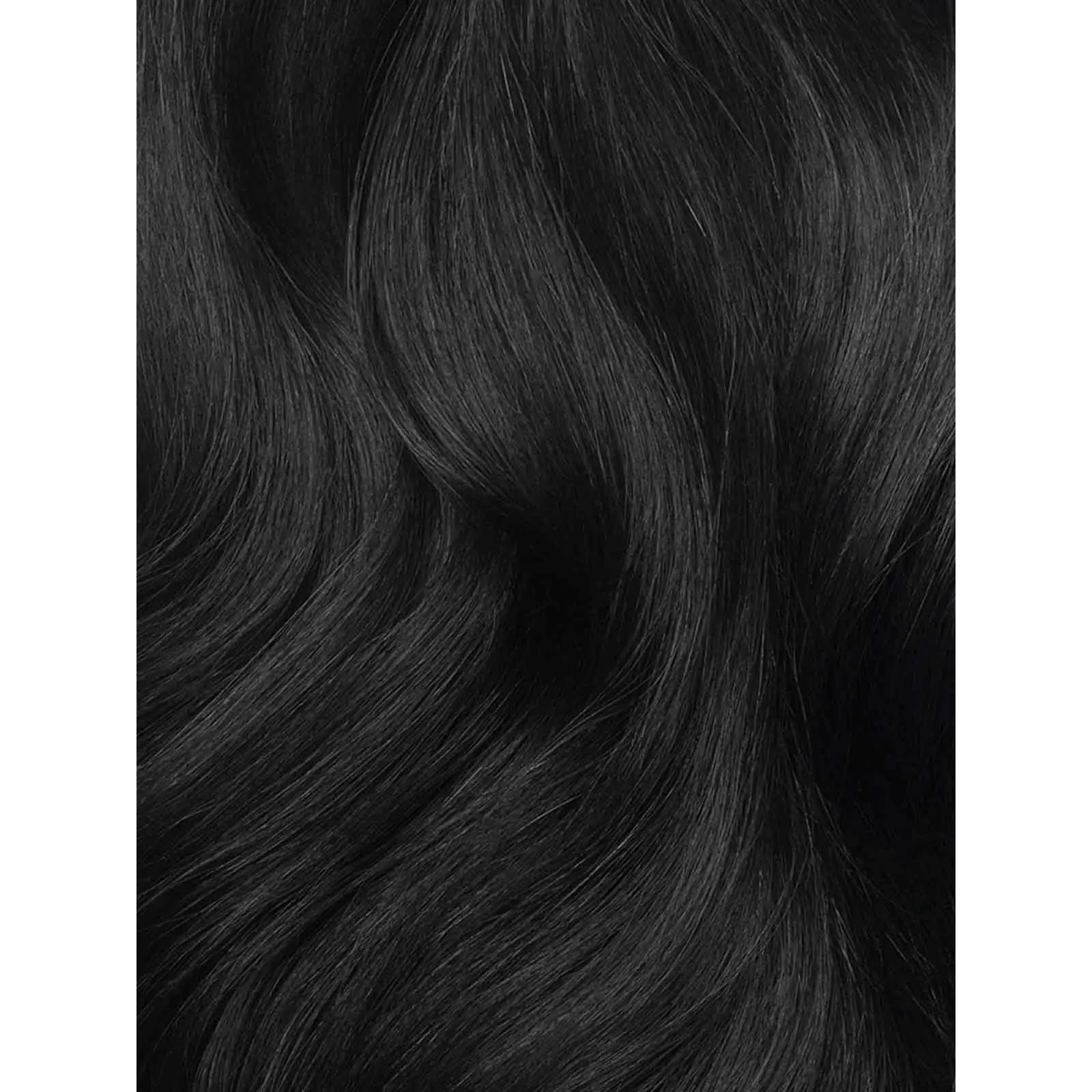 Black Sample Swatch Bundle