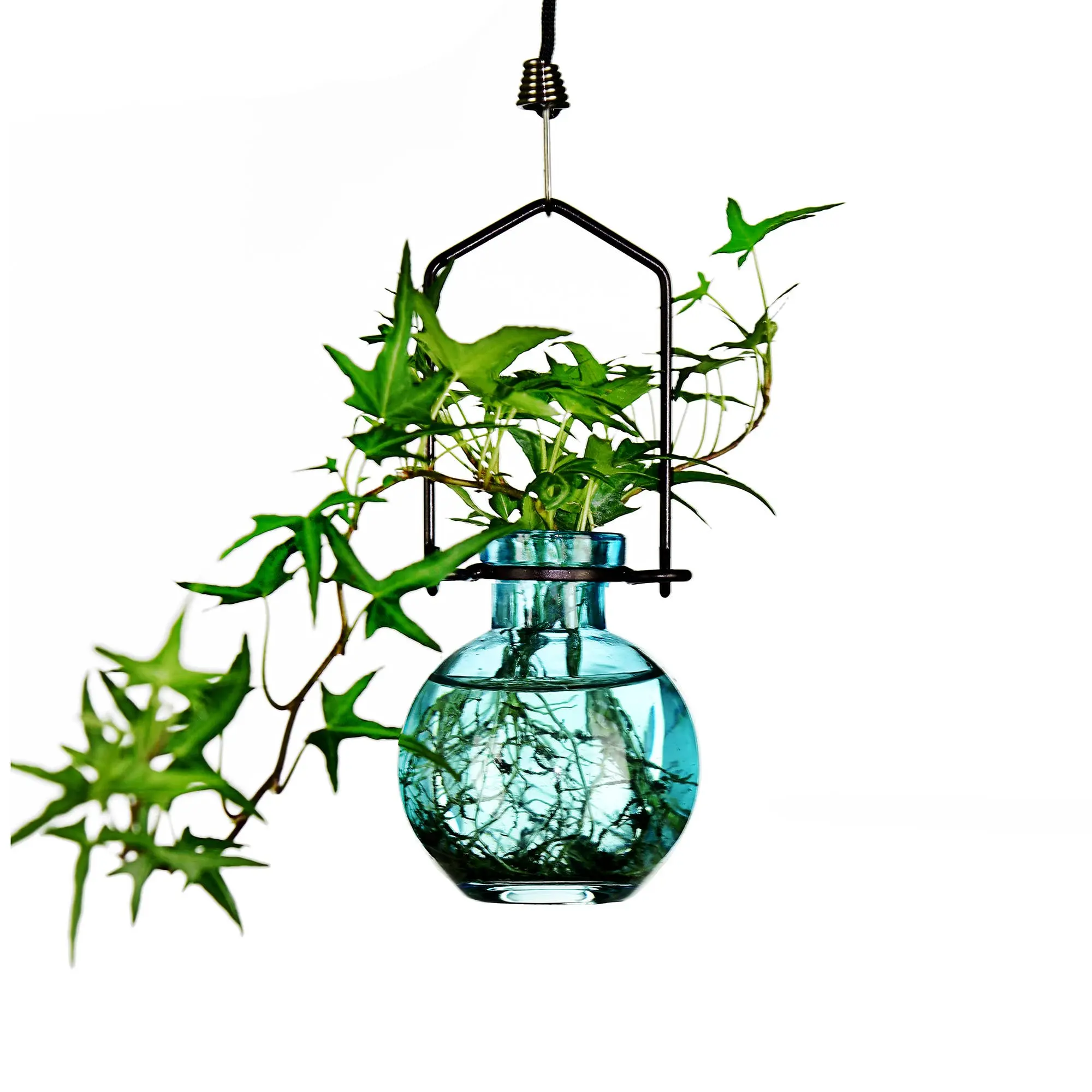 Aqua Hanging Ball Propagation Vase
