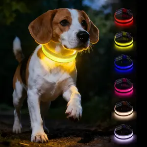 USB Rechargeable Flashseen LED Dog Collar, Light-Up Design for Enhanced Visibility, Safe & Stylish Accessory for All Sizes