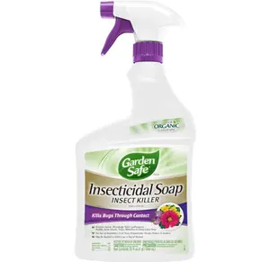 Garden Safe Brand Insecticidal Soap Insect Killer, 32 Fluid Ounces, For Organic Gardening, Kills Bugs Through Contact