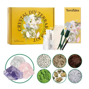 DIY Crystal Terrarium Kit All-In-One Starter with Preserved Moss Pumice Crystals Coconut Coir Gardening Tools & Decor Healing Gift for Relaxing Plants & Crystal Lovers Home & Desk Decor