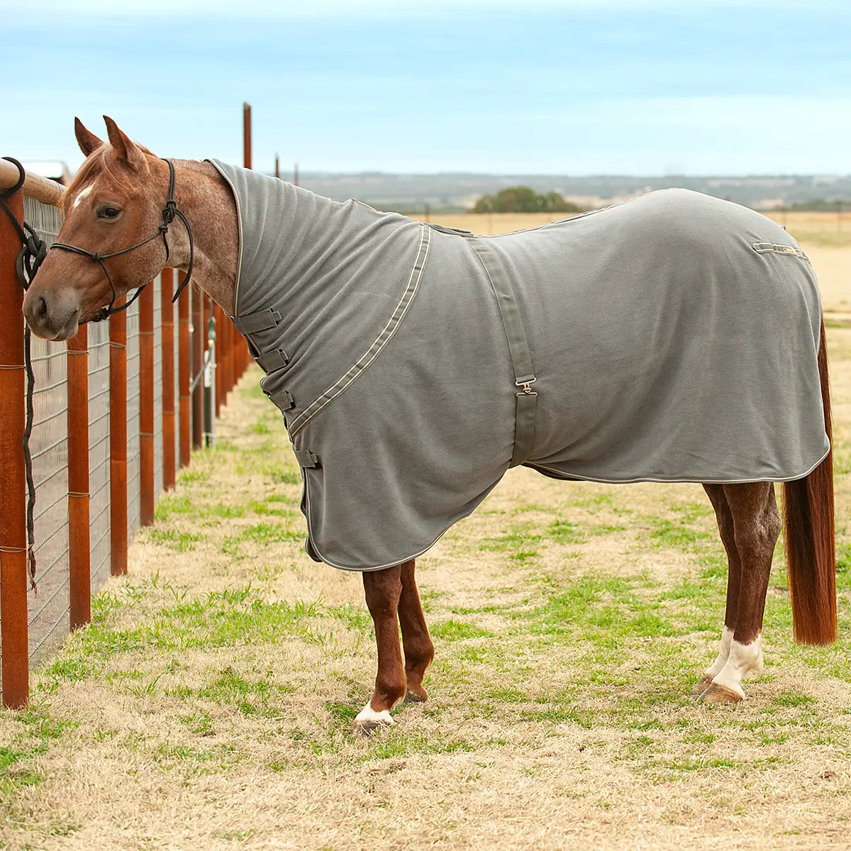Polar Fleece Horse Cooler, Equestrian Cold-Day Horse Drying Equipment