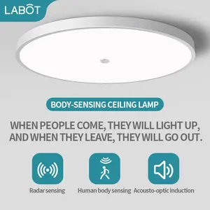 LED Induction Ceiling Light, Staircase Hallway Lamp, Infrared Human Radar Sensor, Smart Voice Control, Energy Efficient Lighting Solution