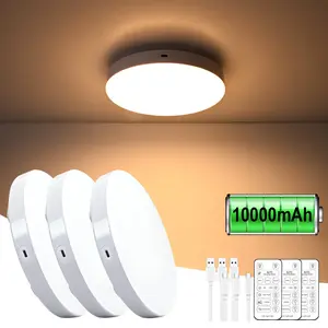 Set of 1/2/3 LED Ceiling Lights, Home Ceiling Lighting, Dimmable, Motion-Sensor Lights, USB Charging, Self-adhesive Backing, Drill-Free or Screw-Mounted Installation, Remote-Controlled Three-Color Dimming, Ideal for Kitchen, Office Indoor Lighting
