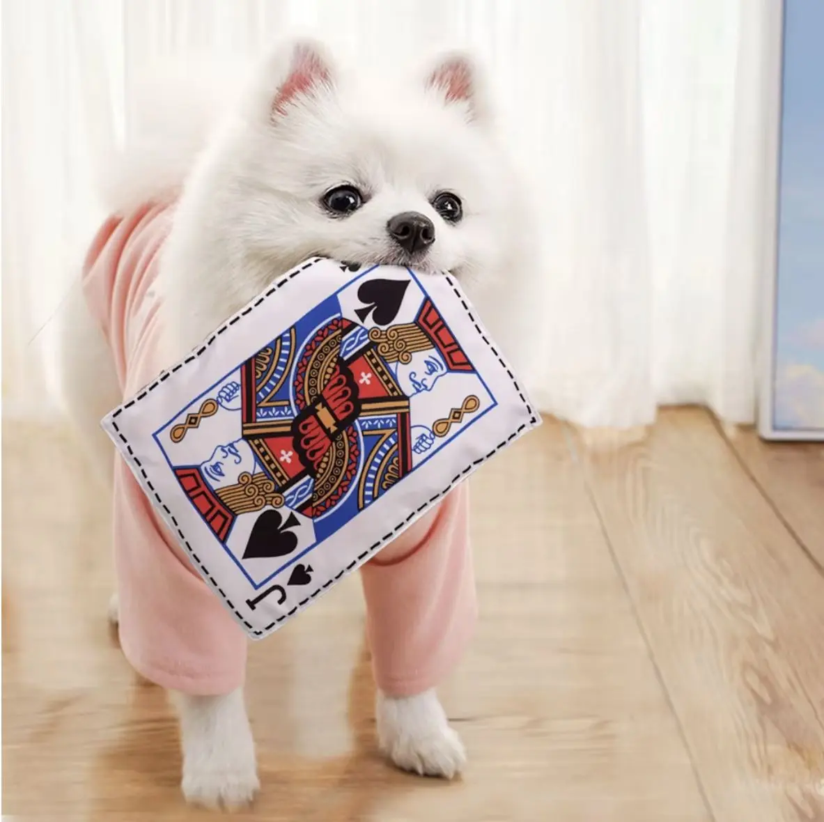 Interactive Dog Squeaking Playing Card Toys