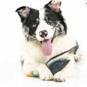 Dog toys