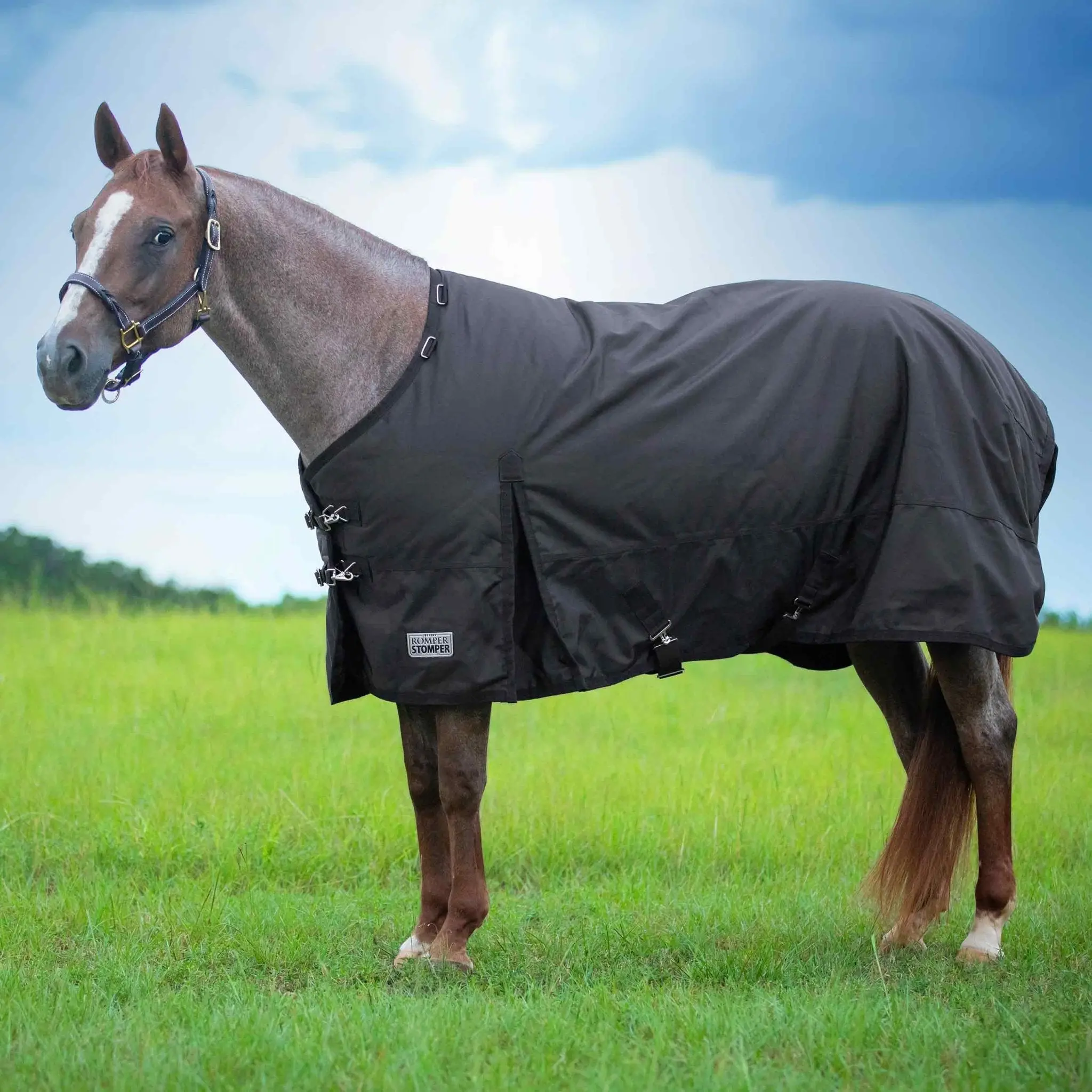 Jeffers Romper Stomper Horse Turnout Sheet, 1680 Denier, 0 Gram