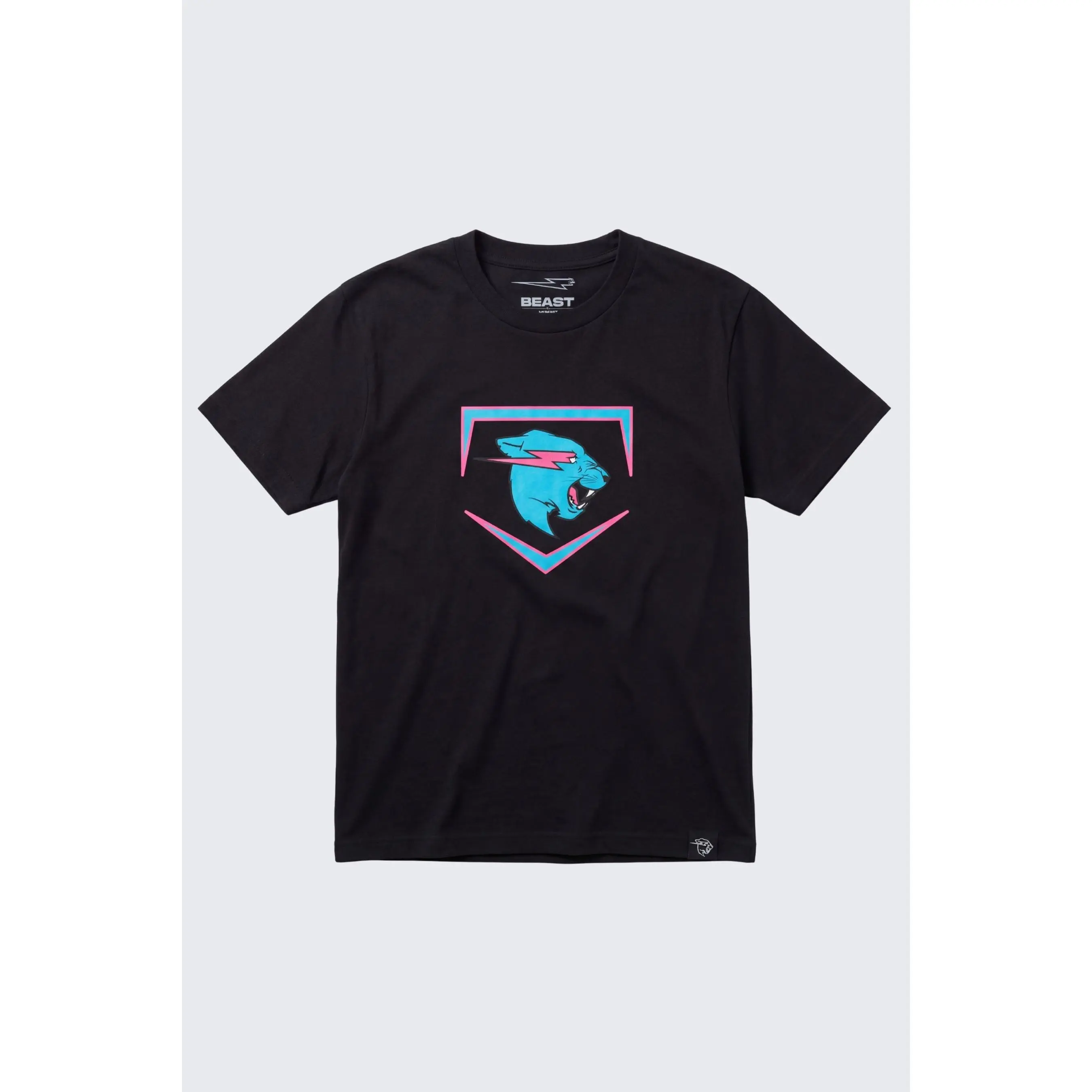 Beast Edition Plate Tee + 2 Pack Baseballs Bundle - Black