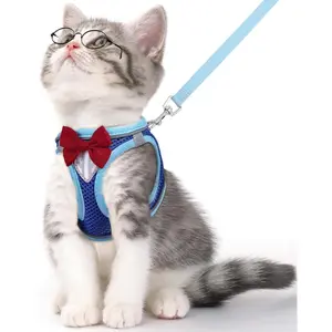 Cat Vest Harness and Leash Set for Walking Escape Proof, Adjustable Kitten Harness Breathable Mesh with Reflective Strips Harness for Kitty Puppy Bunny (Blue, XS)