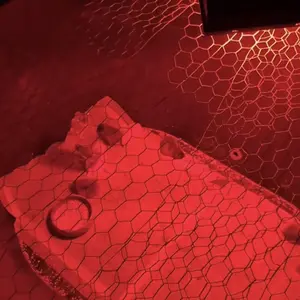 300W Chicken Coop Heater for 30 Chicks Or Ducks, 9.84ft Cord Brooder Heating Plate & Heat Lamp Chicken Coop House with Adjustable Temp & Hanging Height for Livestock Pet Supplies Outdoor