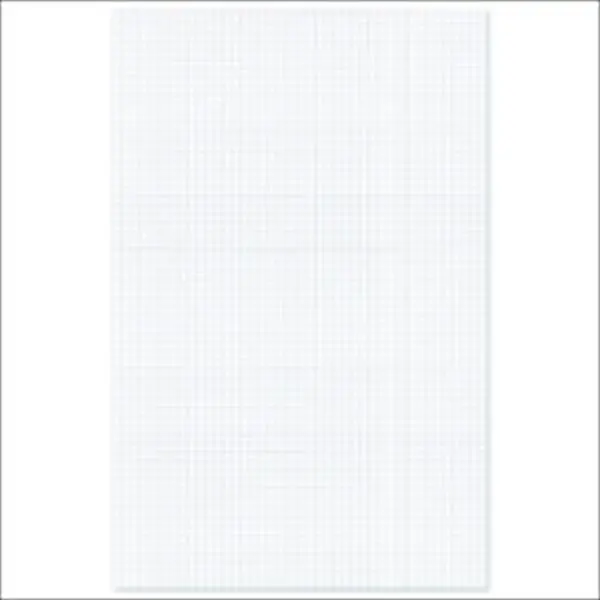 Ampad 1053802 Ruled Quadrille Pad - Quadrille Grid, Faint Blue Ink, 50 White Sheets, 50 Sheets