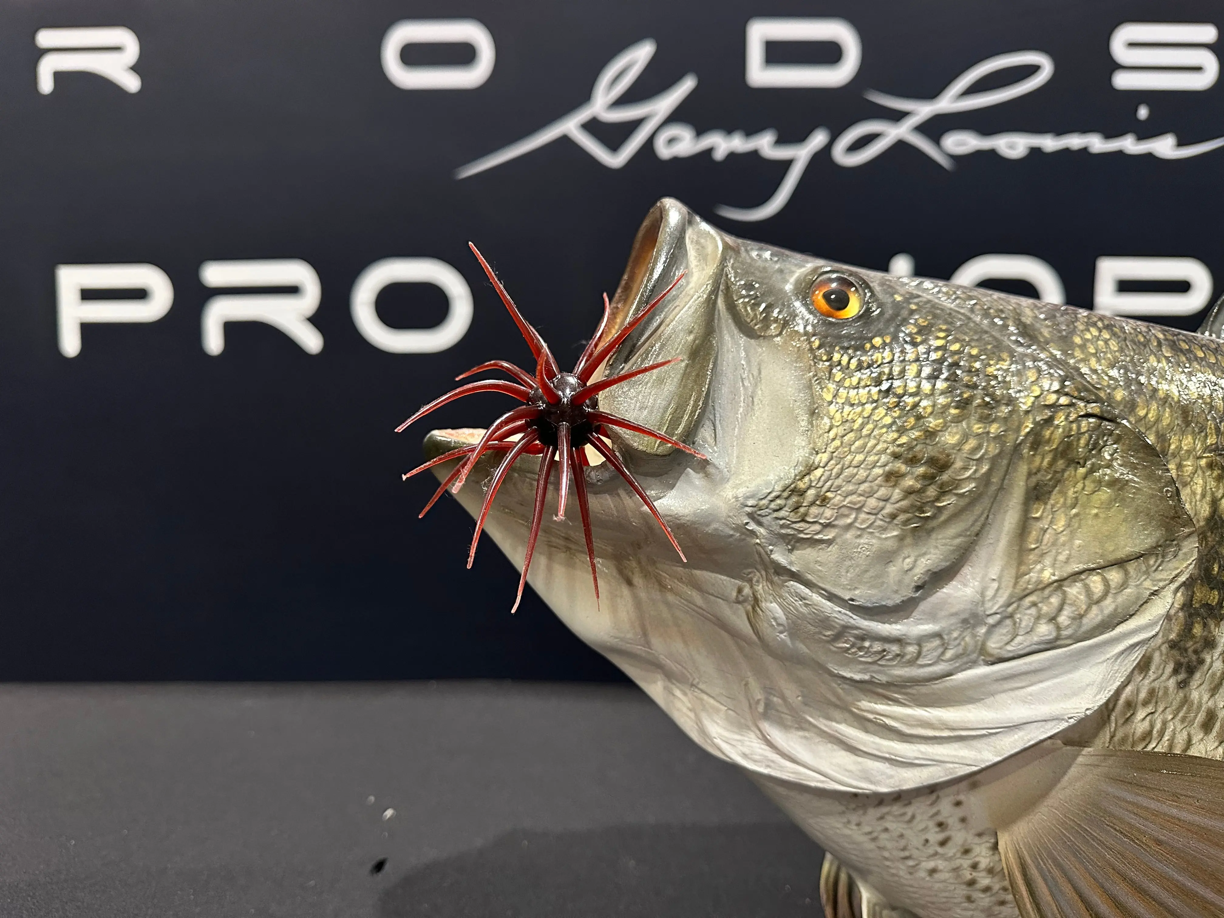 An urchin style soft fishing bait for bass. Works great for pressured fish and is available in green pumpkin, scuppernong, smoke and a variety of other colors.