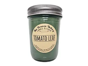 Tomato Leaf | Scented Soy Wax Candle | Outdoor Gardening Leafy Plant Green Garden Scent | Housewarming Birthday Wedding Gift