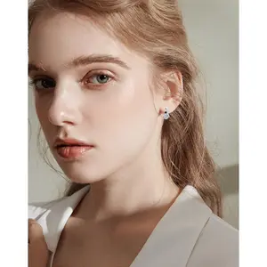 925 Silver Stud Earrings Micro Inlaid Zircon Round Set