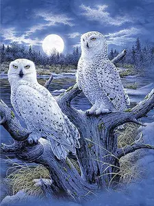 Owl Diamond Painting Kits 5D Diamond Art Kit Animal Diamond Painting Kit for Adults Beginner Full Square Drill Painting with Diamonds Arts Carft Home Wall Decor 30x40cm/11.8x15.7in
