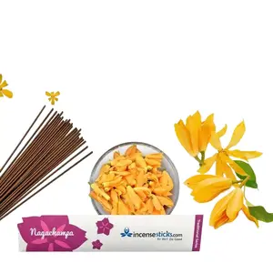 Nag Champa Incense 8" Bundle of 10 Sticks - Traditional Ceramic for Easier Burning & Rich Earthy Aroma for Meditation & Rituals