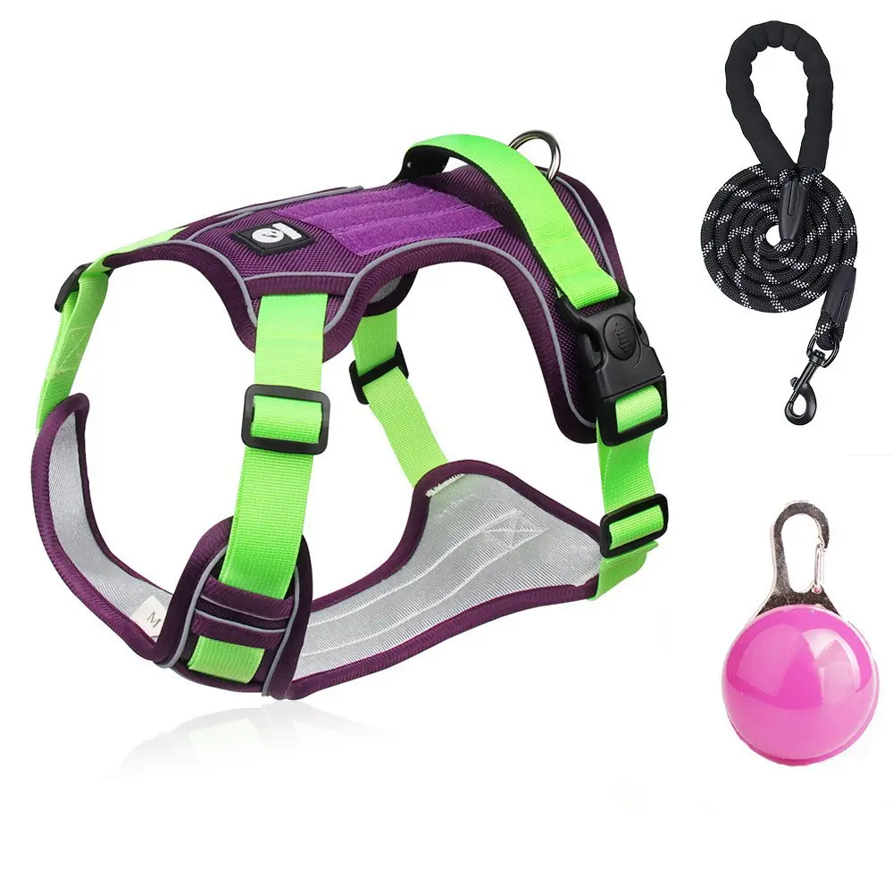 Purple harness + 2.0m reflective round rope + LED