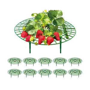 10 Pack Strawberry Supports, strawberry holder plants live for planting,Strawberry Growing Frame,Strawberry Trellis for Keeping Fruit Elevated to Avoid Ground Rot, Strawberry Support Rack