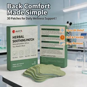 Herbal Lower Back Heat Patches 30 Count, Warming Lumbar Support Patches for Daily Comfort, Long Lasting Heat Therapy Pads for Office, Driving, Workout Recovery & Home Use, Breathable Back Care Patch for Men & Women Pack Gentle