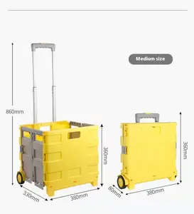 Foldable Plastic Household Lever Car Without Lid