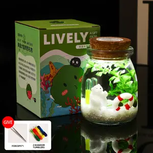 Healing Marimo Water Garden - 3.5×2.6 Inch Micro-Landscape, Low-Maintenance Glass Mini Peninsula Ecosystem with a Cute Moss Ball, Premium DIY Mini Aquatic Garden Decor Kit (Includes LIVELY Moss Ball Pet)