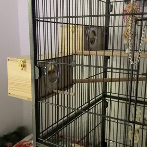 Transparent Design Parakeet Cockatiel Bird House Nest Easy to Clean Parrot House Smooth Edges Parakeet Nesting Box Bird Supplie Parakeet Cages