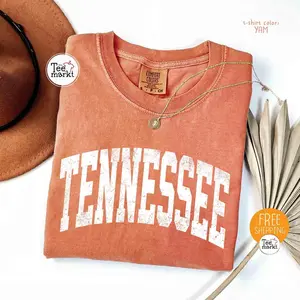 Comfort Colors Tennessee Shirt, Vintage State Graphic Tee, Volunteer State Aesthetic Top, Retro Travel Shirt, Unisex Gift Tee