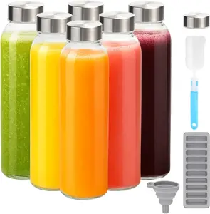 Glass Juice Bottles with Lids for Juicing 18 oz, Reusable Clear Glass Water Bottles with Stainless Steel Airtight Cap for Refrigerator, 100% Leak Proof Drinking Jar, BPA Free, Set of 6