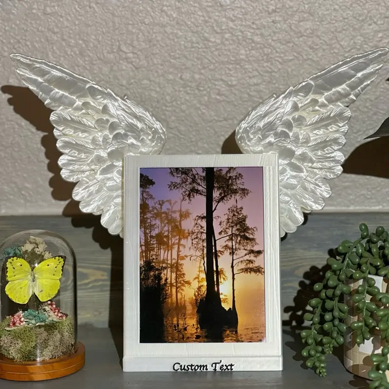 Angel Wing Photo Display