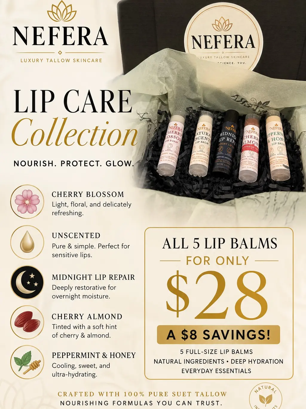 NEFERA Lip Care Collection