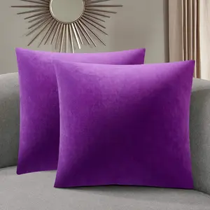 Pillow Covers, 2 Pack Velvet Throw Pillows Covers Decorate Pillows Covers Set of 2 Comfortable Square Pillowcase for Solid Cushion Case Sofa Bedroom, Soft Pillow Covers (20 x 20inch, Purple)