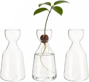 Contact customer service to get a coupon;Contact customer service to claim a coupon 3 Pcs Avocado Tree Flower Vases, Small Avocado Tree Plant Pot Seed Planter, Glass Acorn Tree Growing Kit Vase, Avocado Seed Starter Vase for Home Table Desk Indoor Decor