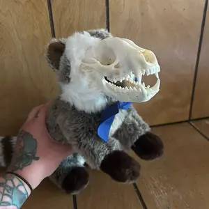 Ethically Sourced Raccoon Skull Stuffed Plushie Ethically Sourced Raccoon Skull Stuffed Plushie