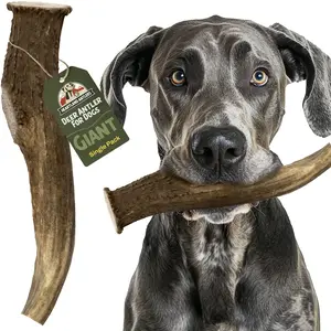 Heartland Antlers Giant Deer Antler Dog Chew | 9" Long | For Dogs 85+ lbs | Tough, Natural & Organic | Single Pack
