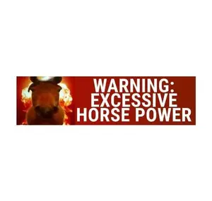 Warning Excessive Horsepower Meme Bumper Sticker - Weatherproof Vinyl, Car Magnet Option, Playful Funny Decals, Durable Magnets & Decals, Auto Enthusiasts’ Vehicle Exterior Decoration, Funny Car Decals
