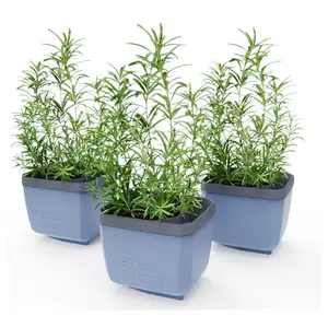 Gusta Garden Set of 3 Self Watering Herb Planters