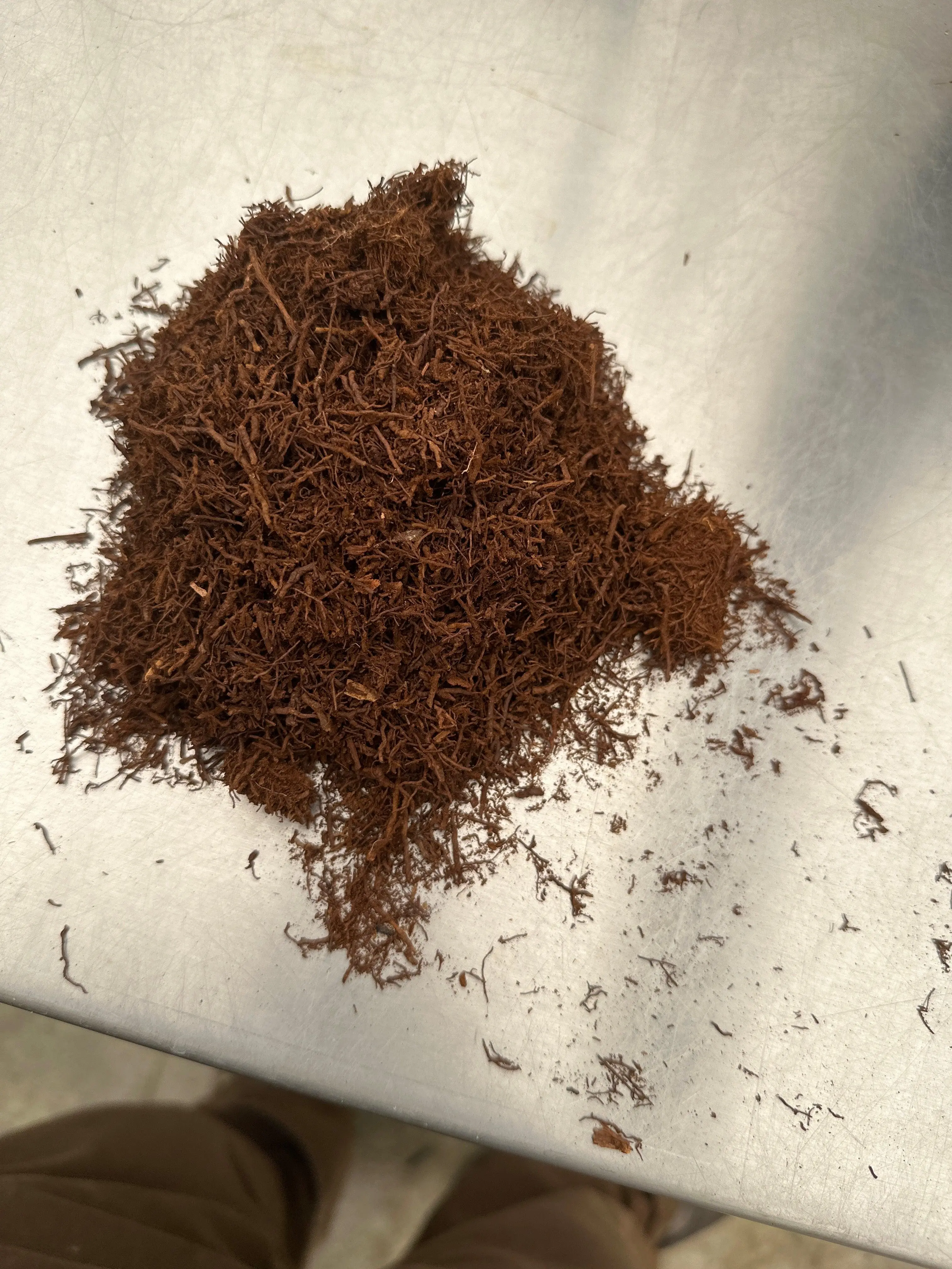 Tree Fern Shred