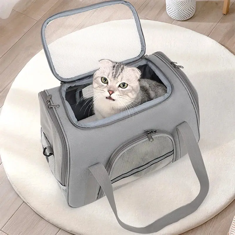 Portable Mesh Pet Carrier Bag