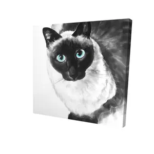 Begin Home Decor 2080-2424-AN191 24 x 24 in. Blue Eyes Siamese Cat Canvas - Minimalist Bedroom Decor