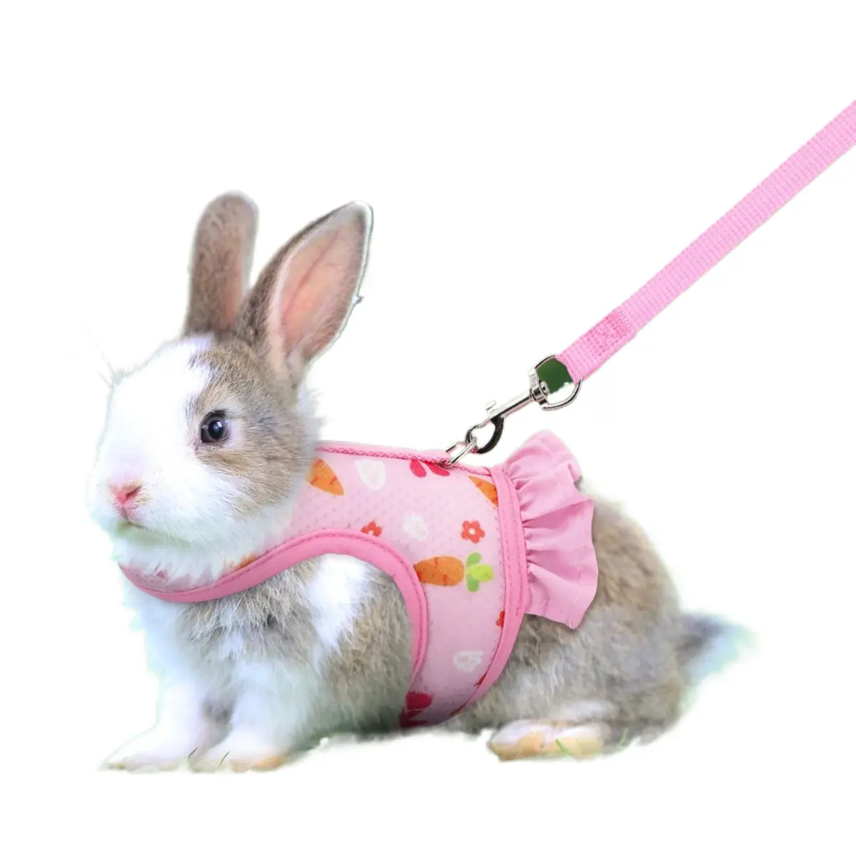 Rabbit chest back guinea pig rabbit rope small pet traction rope chest strap vest chest back set dog rope