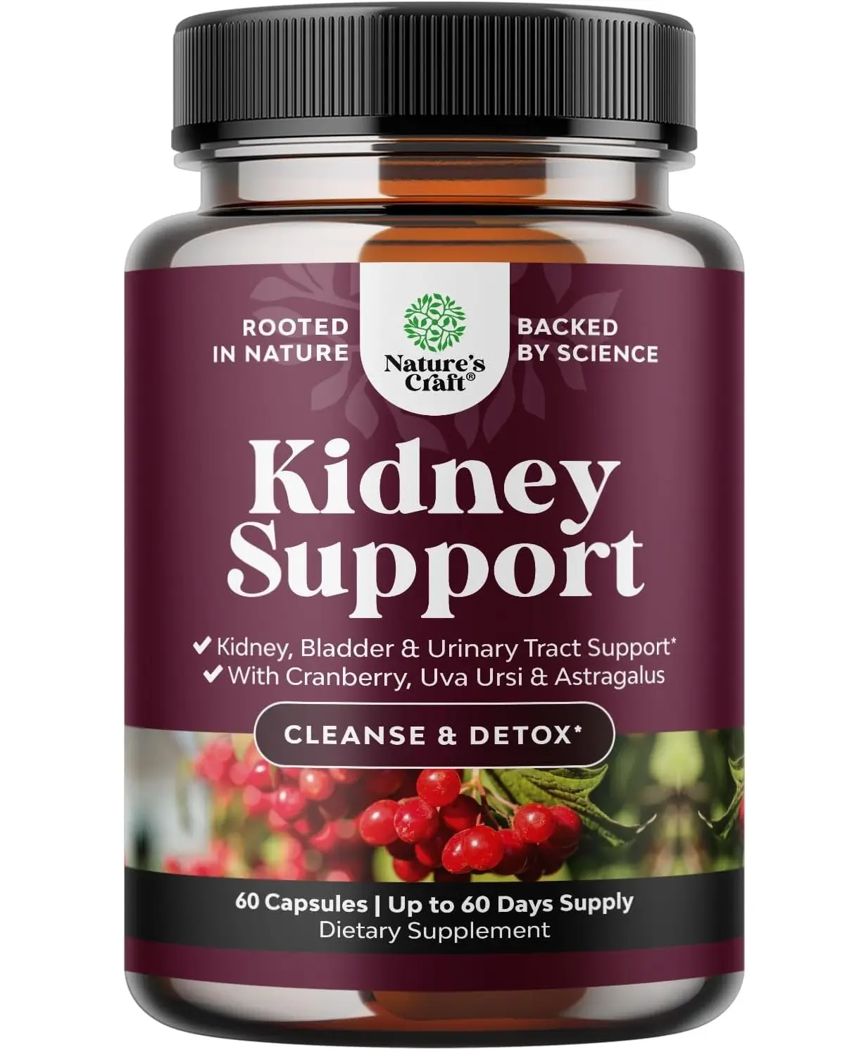 Advanced Kidney Support Supplement - Kidney Cleanse Detox & Repair Cranberry Extract Capsules with Uva Ursi, Stinging Nettle & Astragalus for Kidney Health - Urinary Tract Health - 60 Caps